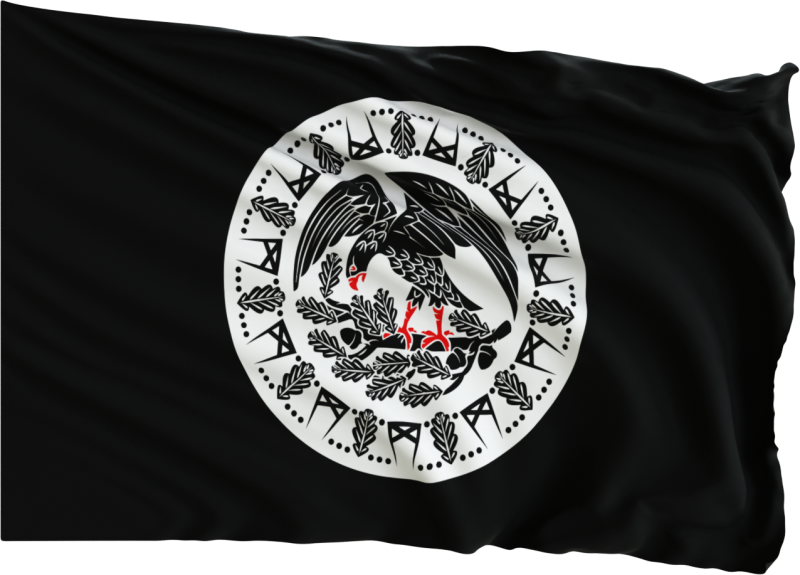 File:GermanyEFNVFlag Waving.png
